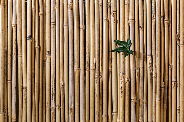 stěna z bambusu.jpg
