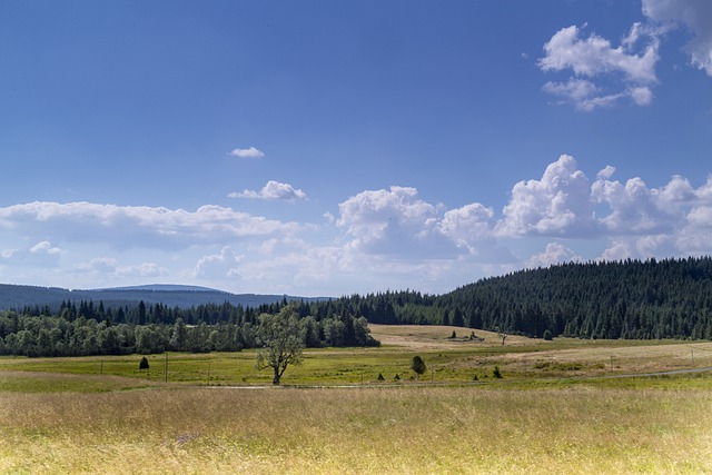 Pro provoz horské chaty potřebujete webové stránky s podchyceným SEO